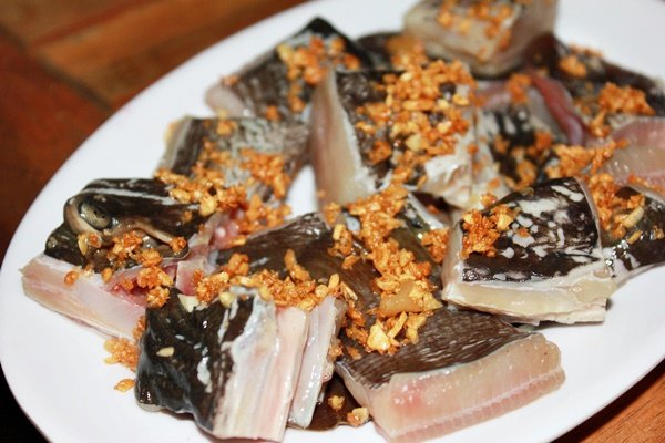 Loài cá không xương trông Loài cá không xương trông