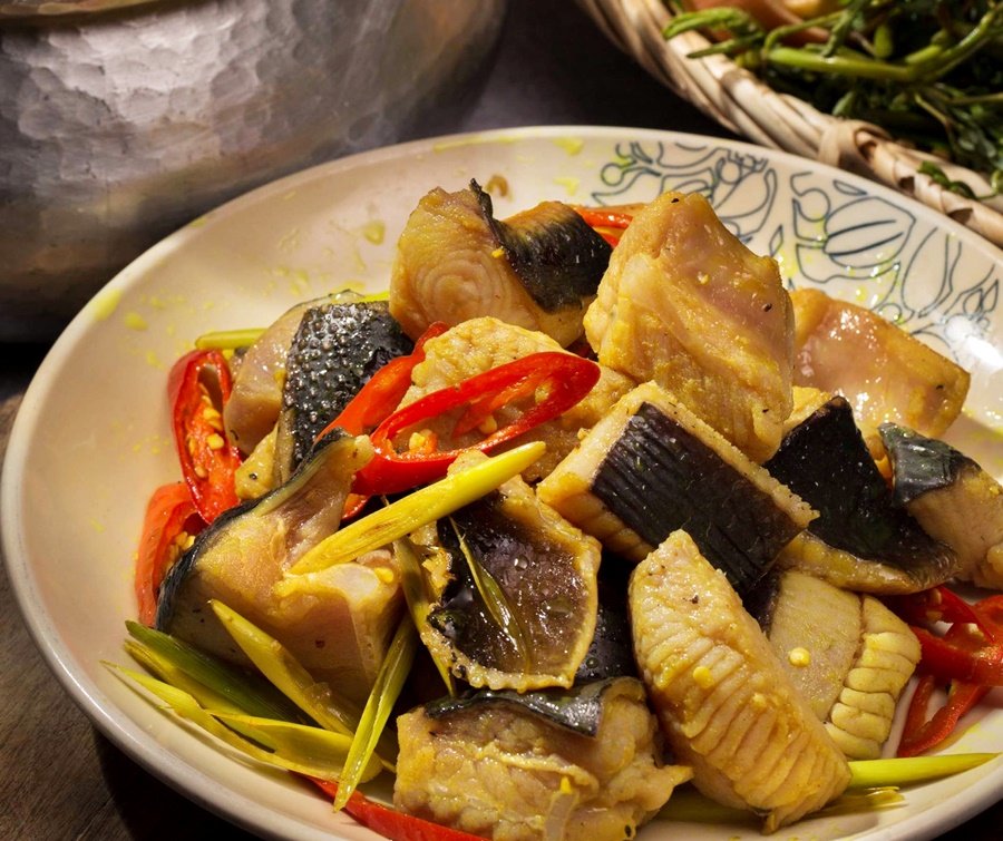 Loài cá không xương trông Loài cá không xương trông