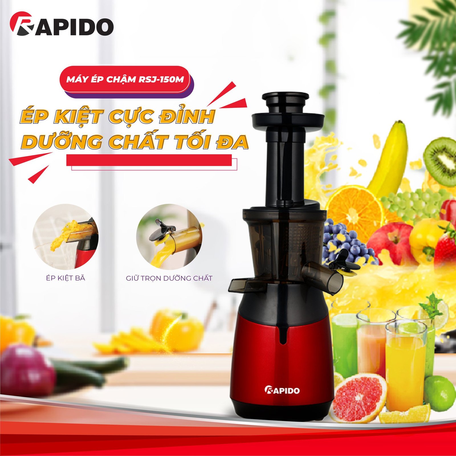 237058268 3589249531178772 4158218449854403975 n 1