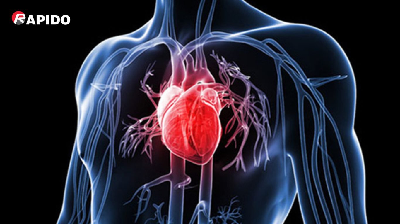 5 Lợi ích tuyệt vời của sữa hạt - RHB 600D 2 Lợi ích của sữa hạt đối với sức khỏe