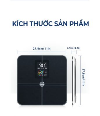 Cân sức khỏe Oddo RSB05 - BS 17 Cân sức khỏe Oddo RSB05 - BS