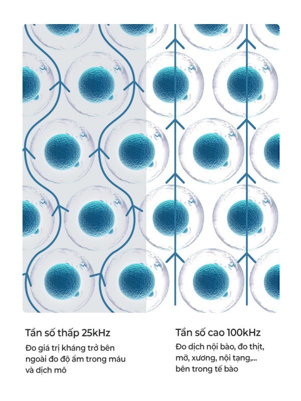 Cân điện tử sức khỏe 8 điện cực là gì? Có thực sự cần thiết? 3 Cân điện tử sức khỏe 8 điện cực xung điện kép