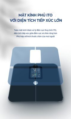 Cân sức khỏe Oddo RSB05 - BS 8 Cân sức khỏe Oddo RSB05 - BS