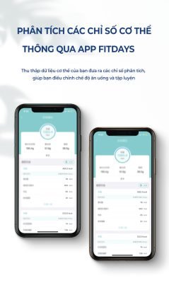 Cân sức khỏe Oddo RSB05 - BS 15 Cân sức khỏe Oddo RSB05 - BS