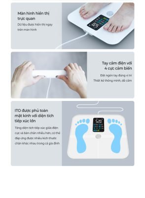 Cân sức khỏe thông minh Oddo RSB-06WS 14 Cân sức khỏe 8 điện cực Oddo RSB-06WS