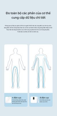 Cân sức khỏe thông minh Oddo RSB-06WS 10 Cân sức khỏe 8 điện cực Oddo RSB-06WS