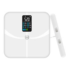 Cân sức khỏe 8 điện cực Oddo RSB-06WS