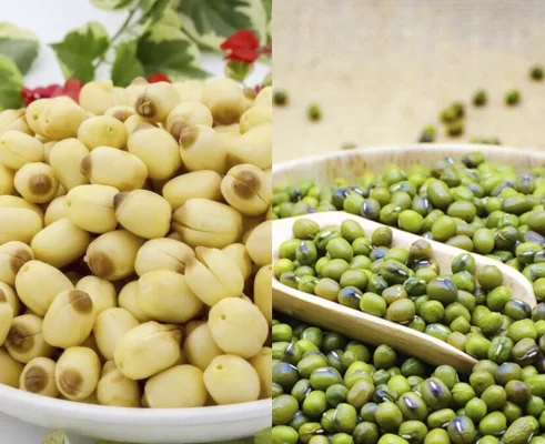 Đậu xanh nấu hạt sen mát gan, giải nhiệt ngày hè 3 dau xanh hat sen