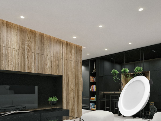 DEN LED AM TRAN LIEN KHOI 12W Model RLDO P 12W Anh boi canh 21